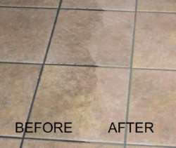 Tile Grout Cleaning Picture