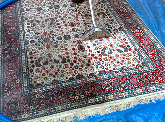 Steam cleaning a rug