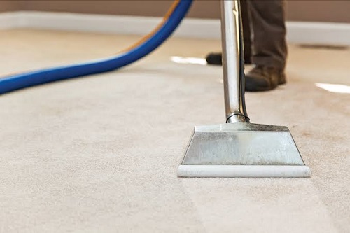 Carpet Cleaning experts. 35+ yrs experience. Brisbane, Logan, and Coast.